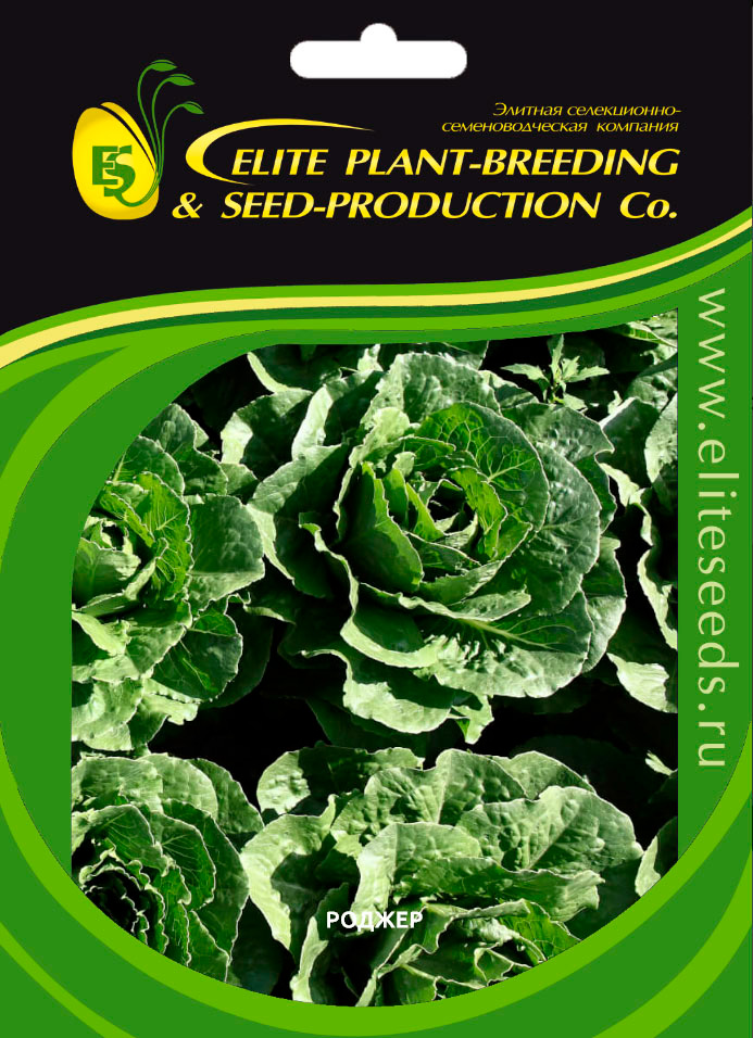 

Семена Elite Seeds Салат Роджер Элит мини, 1900 шт. Профессиональная упаковка