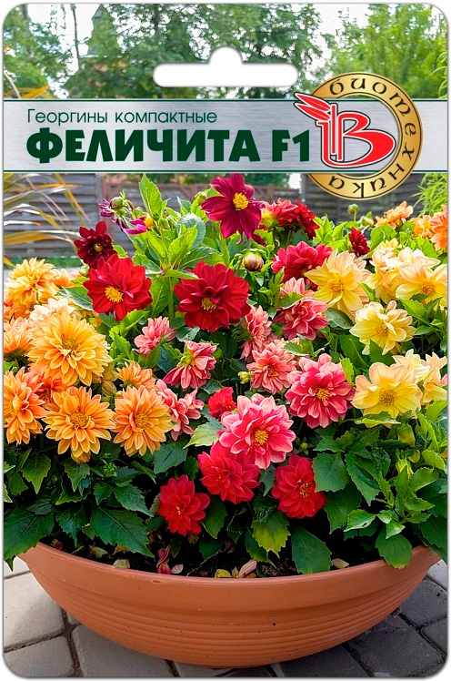 

Семена Биотехника Георгина Феличита F1, Смесь, 15 шт.