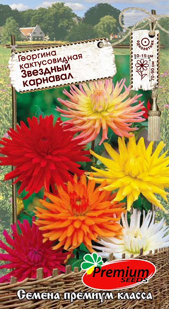 Семена Premium seeds Георгина кактусовидная Звездный карнавал, Смесь, 0,1 г