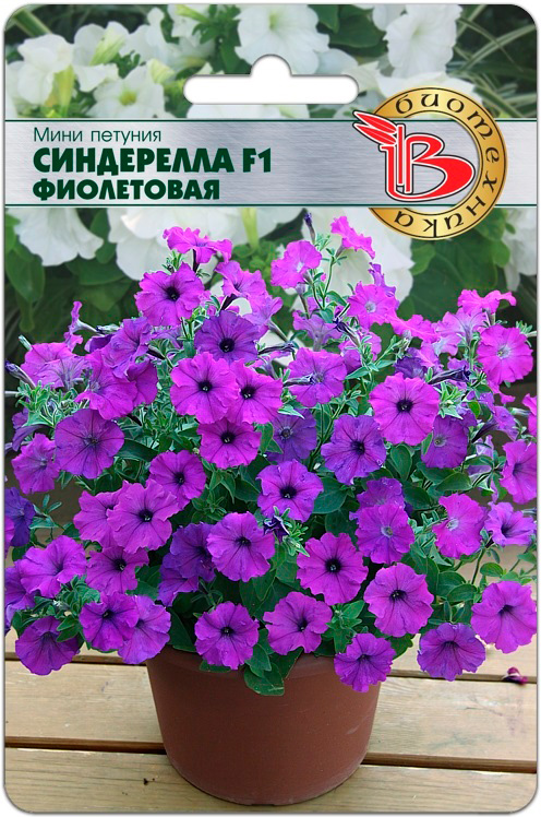 Семена Биотехника Петуния Мини Синдерелла Фиолетовая F1, 15 шт.