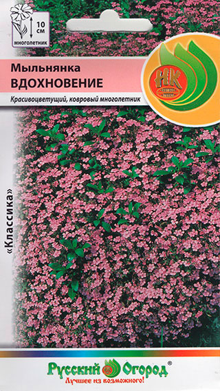 Семена Русский огород Мыльнянка Вдохновение, 0,1 г
