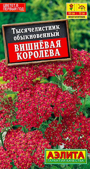 

Семена Аэлита Тысячелистник Вишневая королева, 0,1 г
