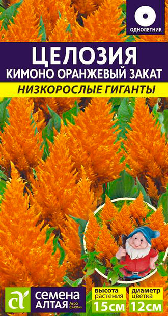 Семена Семена Алтая Целозия Перистая Кимоно Оранжевый закат, 10 шт. Низкорослые гиганты