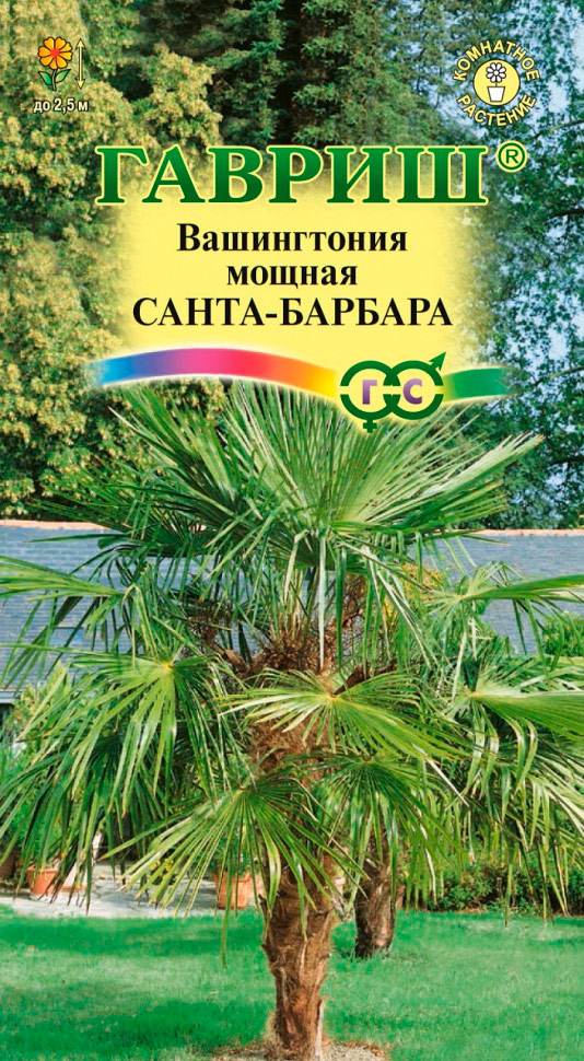 

Семена Гавриш Вашингтония мощная Санта-Барбара, 3 шт.