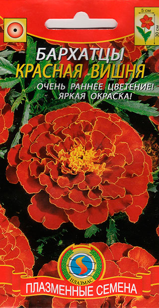 Семена Плазмас Бархатцы Красная вишня, 45 шт.