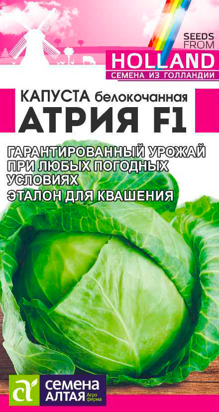 

Семена Семена Алтая Капуста белокочанная Атрия F1, 12 шт. Seminis
