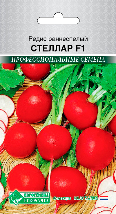 

Семена ЕВРОСЕМЕНА Редис Стеллар F1, 0,5 г Bejo Zaden Профессиональные семена
