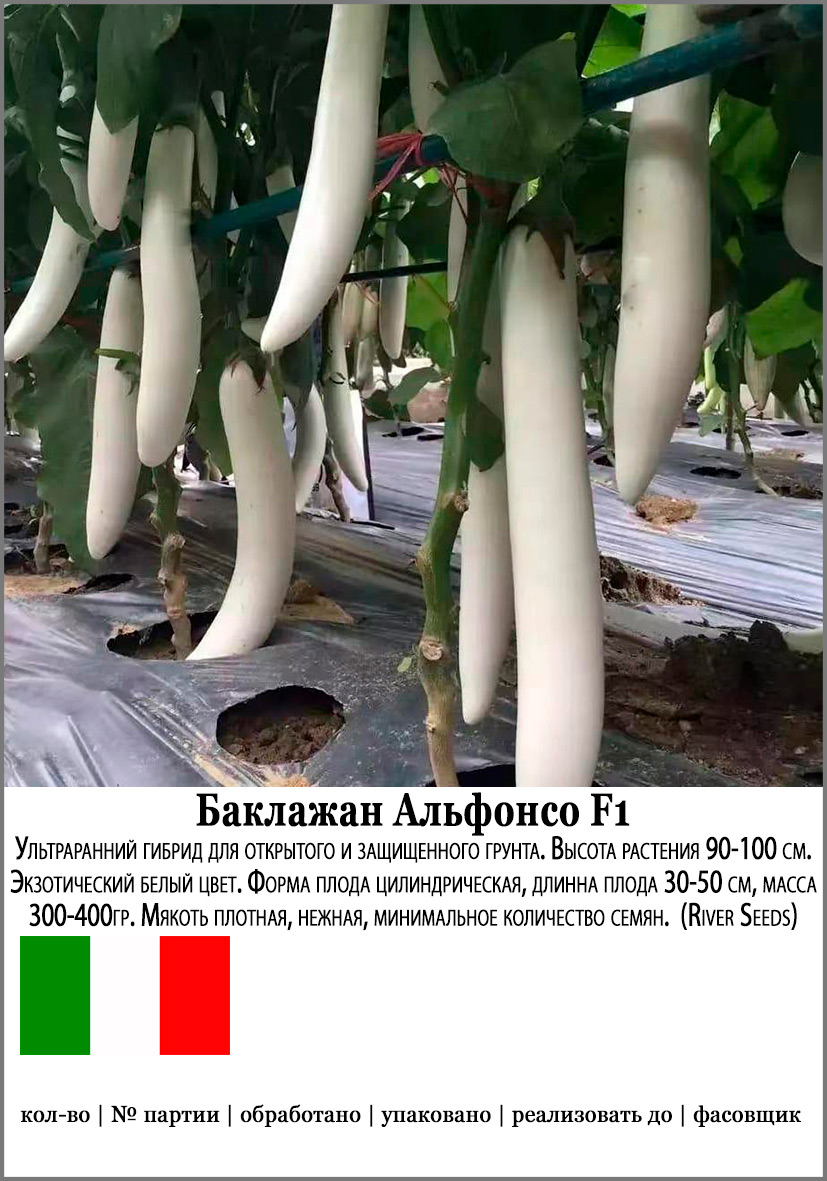 

Семена SEEDSPOST Баклажан Альфонсо F1, 5 шт. Мировые хиты River Seeds Элитные семена