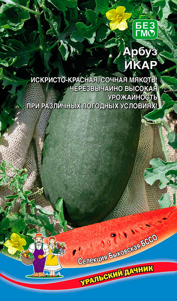 

Семена Уральский дачник Арбуз Икар, 10 шт. Селекция Быковская БСОС