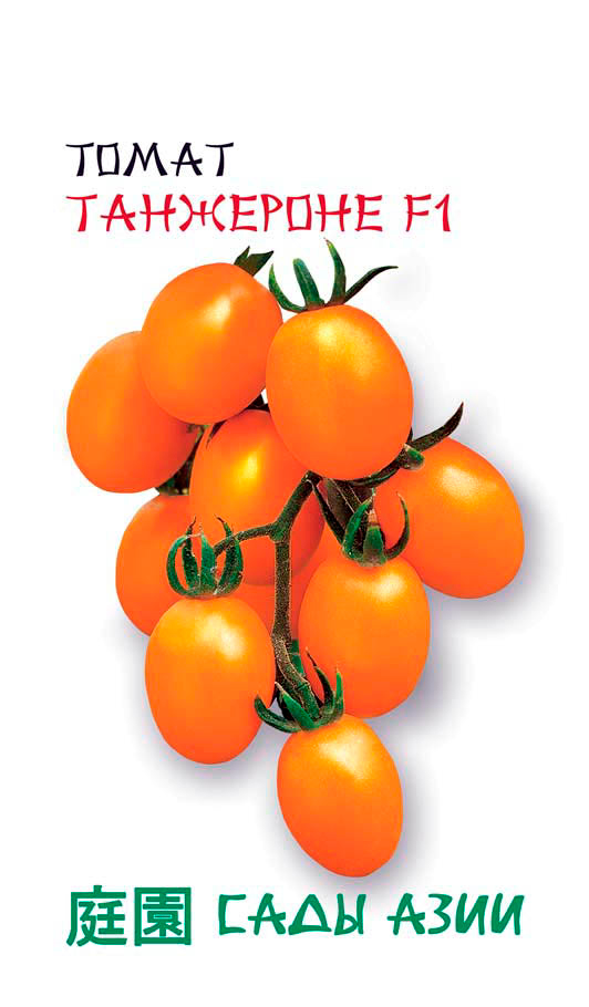 

Семена Сады Азии Томат Танжероне F1, 5 шт. United Genetics