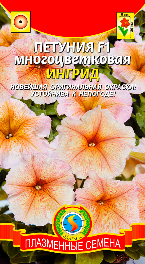 

Семена Плазмас Петуния многоцветковая Ингрид F1, 10 драже