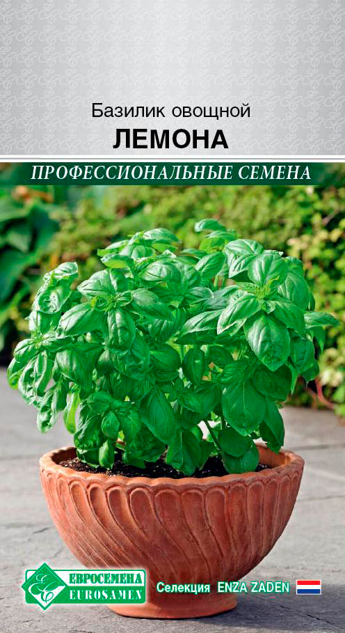 

Семена ЕВРОСЕМЕНА Базилик овощной Лемона, 0,3 г Enza Zaden Профессиональные семена