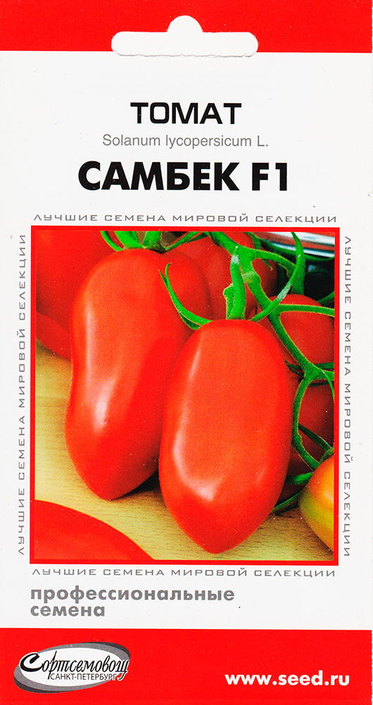 

Семена Дом семян (Сортсемовощ) Томат Самбек F1, 5 шт. Профессиональные семена