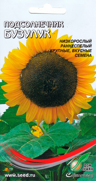 

Семена Дом семян (Сортсемовощ) Подсолнечник Бузулук, 60 шт.