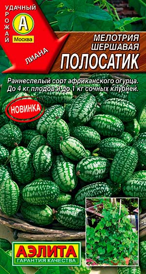 

Семена Аэлита Мелотрия (Мышиная дыня) Полосатик, 10 шт.