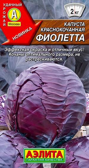 Семена Аэлита Капуста краснокочанная Фиолетта, 0,3 г