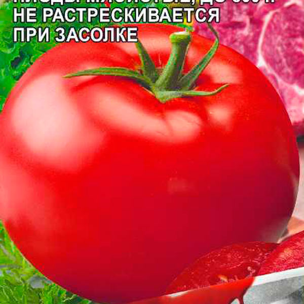 Йетина Мать Семена Алтая Купить