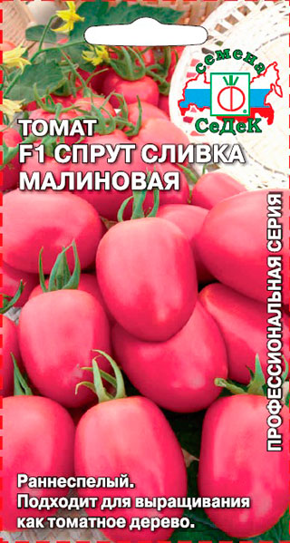 

Семена СеДеК Томат Спрут Сливка Малиновая F1 (Томатное или Помидорное дерево), 0,03 г Профессиональная серия