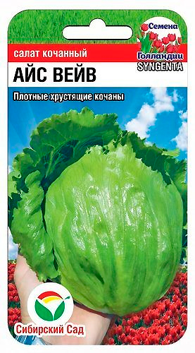 

Семена Сибирский сад Салат Айс Вейв, 10 шт. Семена Голландии
