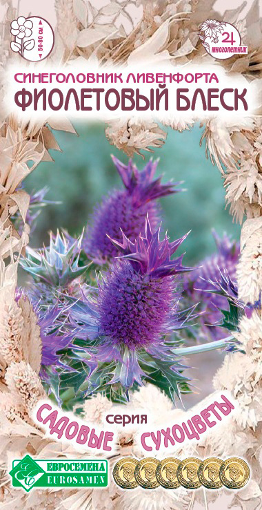 Семена ЕВРОСЕМЕНА Синеголовник ливенфорта Фиолетовый блеск, 5 шт. Садовые Сухоцветы