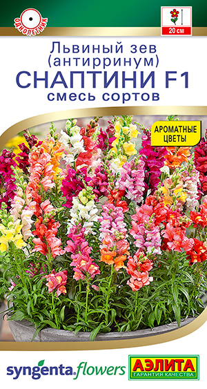 

Семена Аэлита Львиный зев Снаптини F1, Смесь, 7 шт. Syngenta