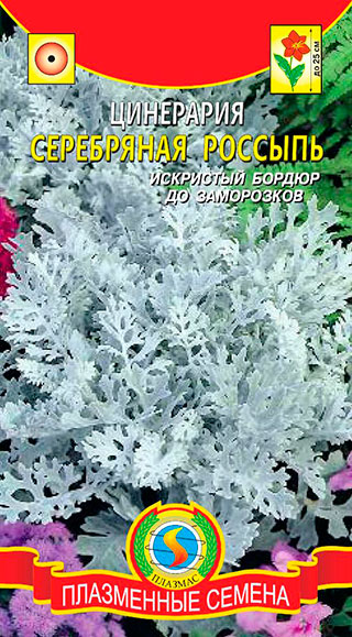 Семена Плазмас Цинерария Серебряная россыпь, 100 шт.