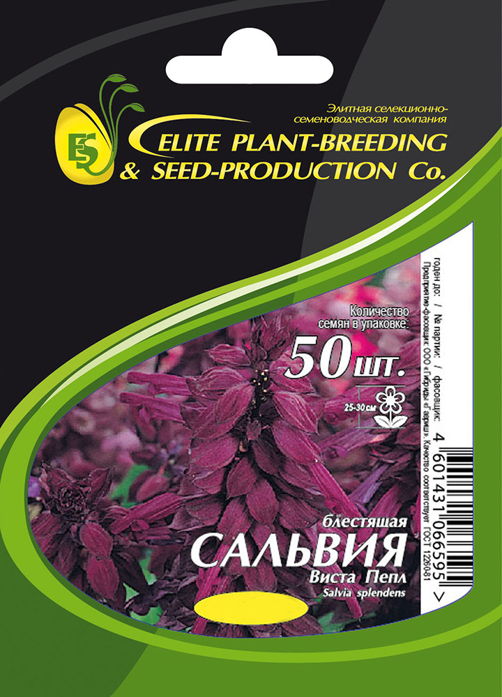 Семена Elite Seeds Сальвия блестящая Виста Пепл Элит мини, 50 шт. Профессиональная упаковка