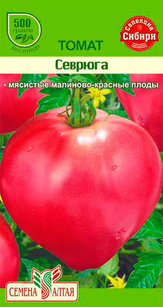 Томаты севрюга отзывы фото. Томат севрюга Сибирская селекция. Томат севрюга семена Алтая. Семена томат севрюга. Томат севрюга Сибирский сад.