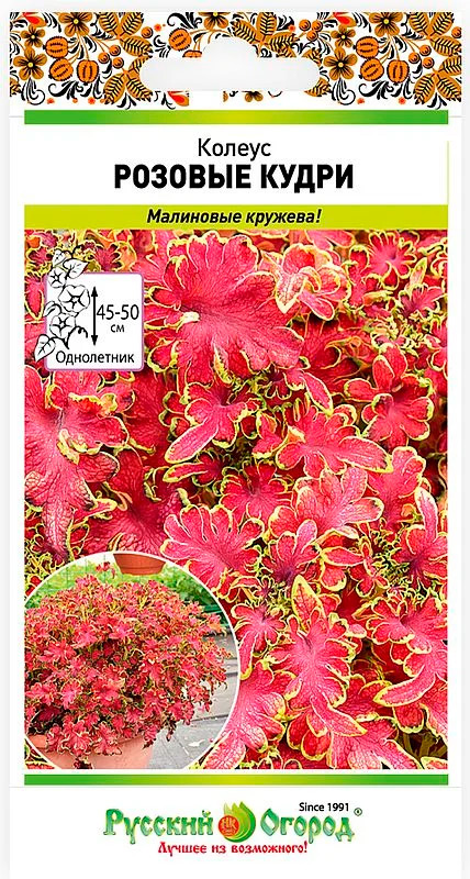

Семена Русский огород Колеус Розовые кудри, 10 шт.