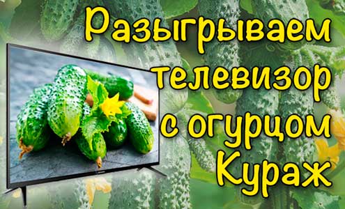 Огурец ‘Кураж’... и телевизор в подарок! Огурец ‘Кураж’... и телевизор в подарок!