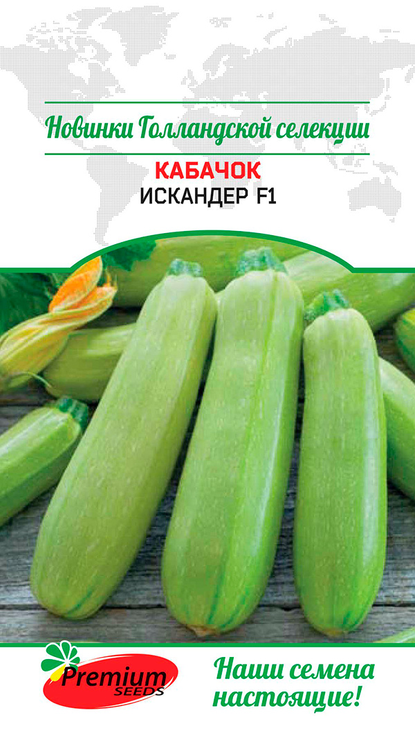 Семена Premium seeds Кабачок Искандер F1, 4 шт. Новинки Голландской селекции