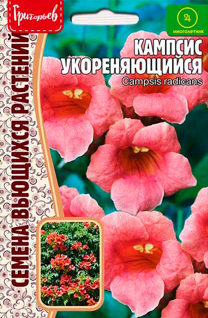 

Семена Григорьев Кампсис Укореняющийся (Campsis radicans), 20 шт. Семена Вьющихся Растений