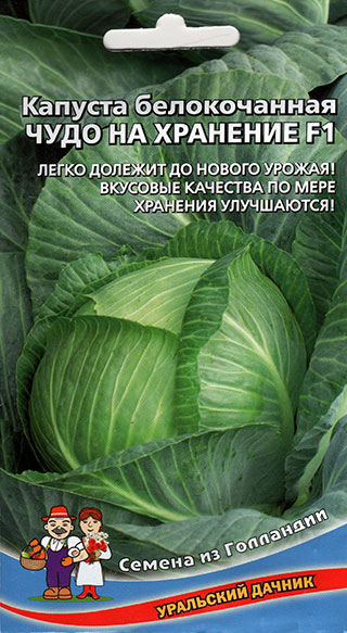 Семена Уральский дачник Капуста белокочанная Чудо на Хранение F1, 0,3 г Семена из Голландии