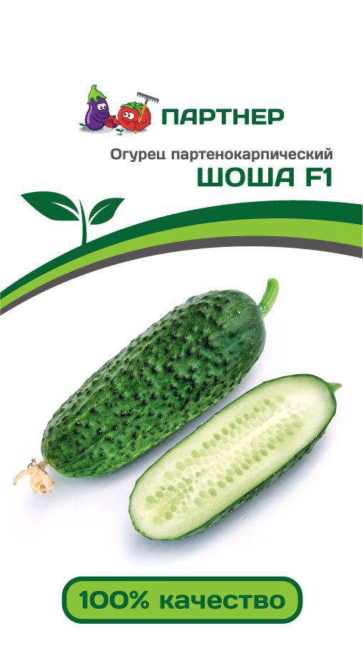 

Семена Партнер Огурец Шоша F1, 5 шт.