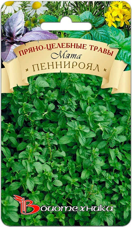 

Семена Биотехника Мята Пеннироял, 0,05 г