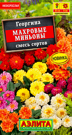 

Семена Аэлита Георгина Махровые миньоны, Смесь, 7 шт.