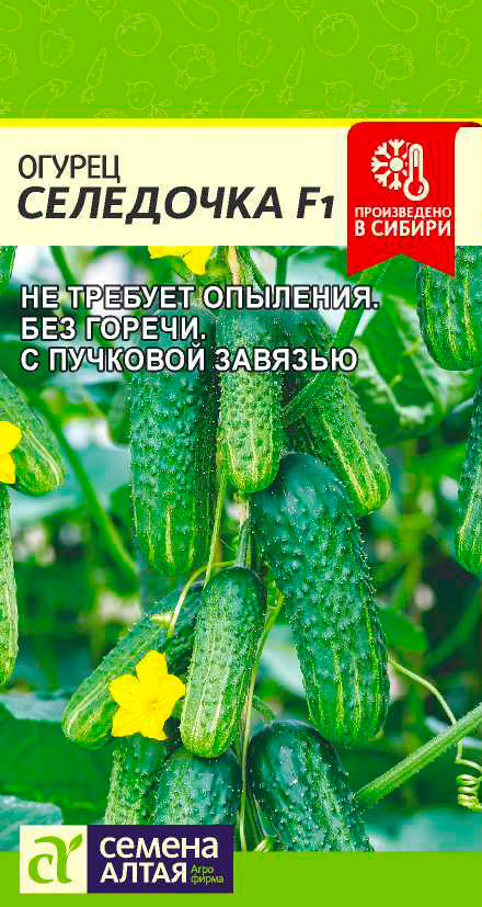 

Семена Семена Алтая Огурец Селедочка F1, 5 шт. Произведено в Сибири