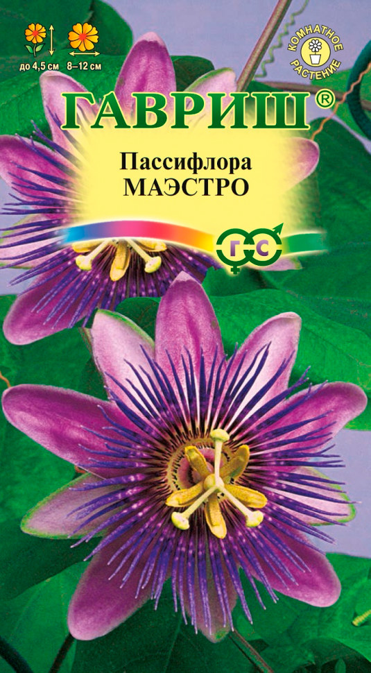 

Семена Гавриш Пассифлора съедобная Маэстро, 5 шт.