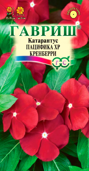

Семена Гавриш Катарантус Пацифика XP Кренберри, 5 шт.