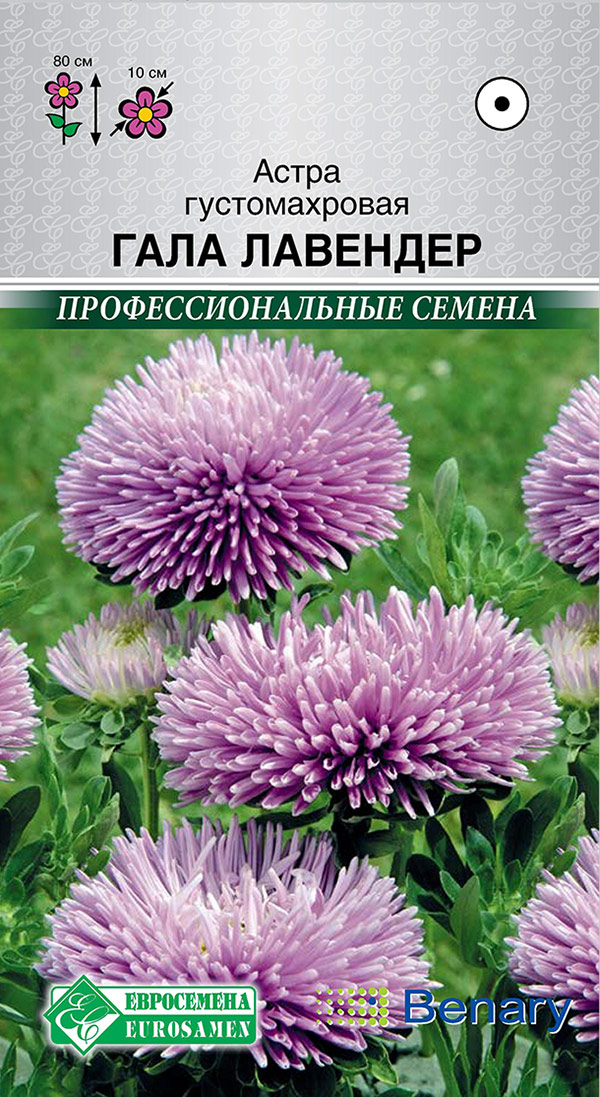 

Семена ЕВРОСЕМЕНА Астра густомахровая Гала Лавендер, 10 шт. Benary Профессиональные семена