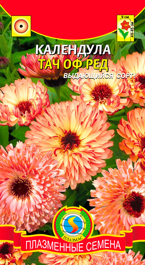 

Семена Плазмас Календула Тач оф Ред, 0,15 г