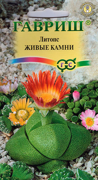 

Семена Гавриш Литопс Живые камни, Смесь, 5 шт.