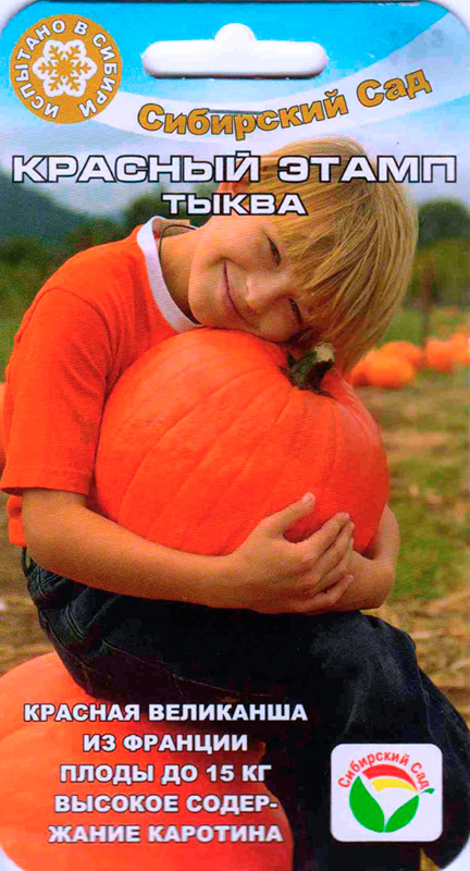 

Семена Сибирский сад Тыква Красный Этамп, 5 шт. Проверено в Сибири