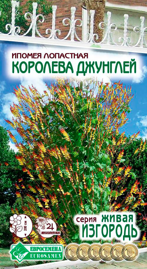 

Семена ЕВРОСЕМЕНА Ипомея лопастная Королева джунглей, 0,3 г Живая Изгородь