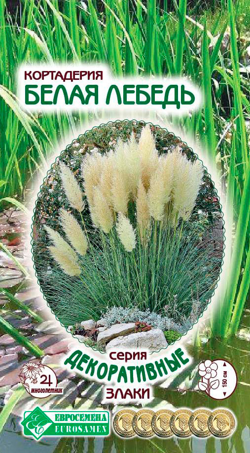 

Семена ЕВРОСЕМЕНА Кортадерия Белая лебедь, 0,05 г Декоративные Злаки