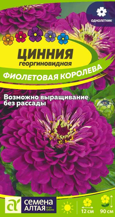 Семена Семена Алтая Цинния георгиноцветковая Фиолетовая Королева, 0,3 г