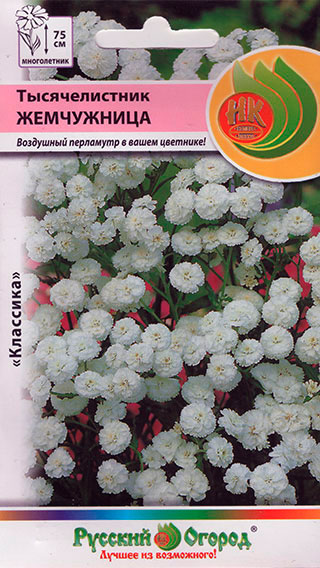 

Семена Русский огород Тысячелистник Жемчужница, 0,1 г