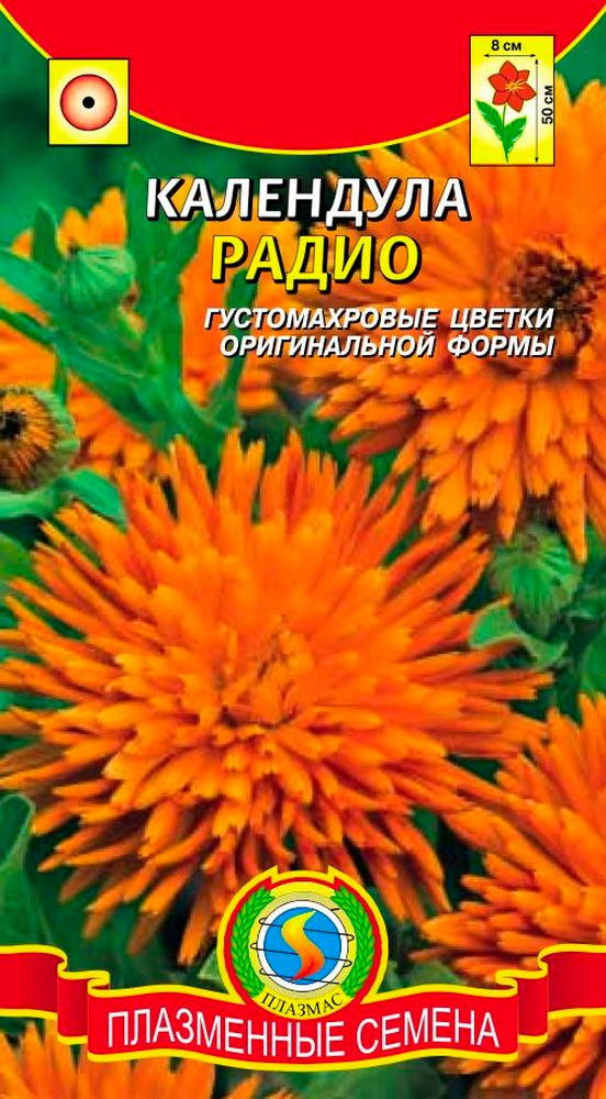 

Семена Плазмас Календула Радио, 0,3 г
