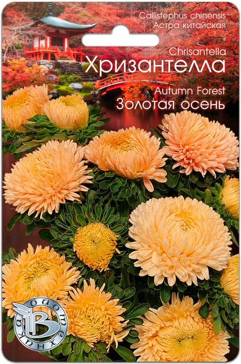 

Семена Биотехника Астра китайская Хризантелла Золотая осень, 30 шт.