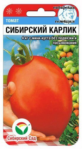 

Семена Сибирский сад Томат Сибирский карлик, 20 шт. Сибирская селекция